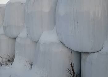 Sprzedam sianokiszonke