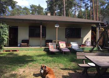 Domek letniskowy Kobylocha Szczytno Sasek Wielki