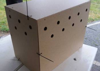 Transportówki do wysyłki ptactwa – kury, gołębie, przepiórki