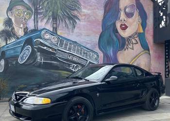 Ford Mustang SN95 manual