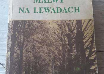 Malwy na lewadach Barbara Wachowicz 1985