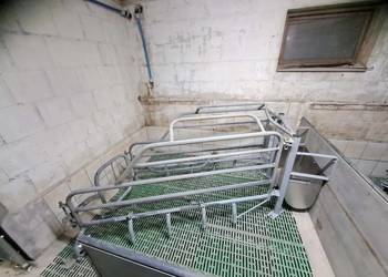 Kojec porodowy dla macior porodówka