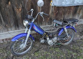 Komar kingway Romet ogar 50