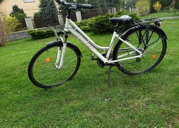 Rower trekking  Romet Track 1D