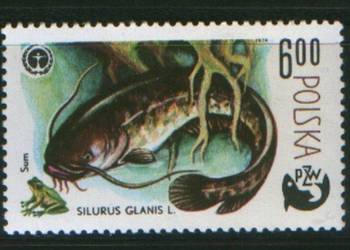 Zn. Fi 2477 ** 1979