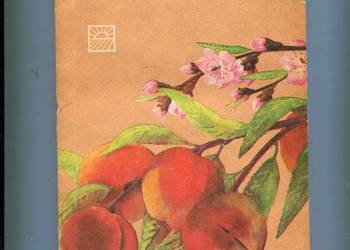 Brzoskwinie zasady uprawy