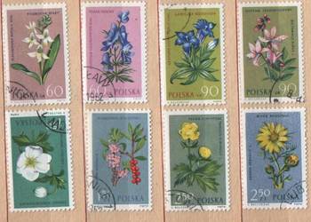 Zn. Fi 1177 - 88 kas 1962