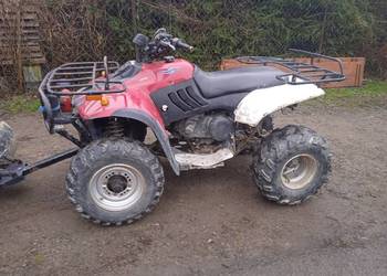 Quad linhai 260 z wyciągarka i pługiem