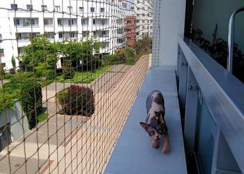 SIATKA PRZECIWKO PTAKOM montaż na balkon Bez Wiercenia Warszawa Siatka Kot