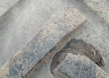 Opony 23.1 26 Bizon Rozrzutnik