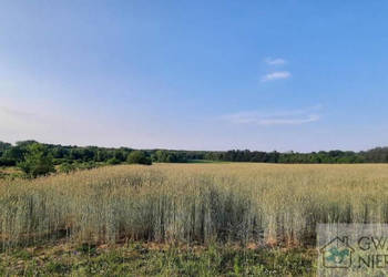 Działka Dąbrowa Zielona 8400m2