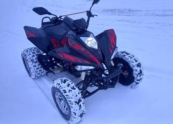 Quad Bashan BS 250 AS  Xone Alfarad Cobra