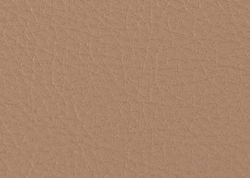 Eko Skóra Prodigy 695G/M2 137Cm Kolor Light Sand / Pro-684
