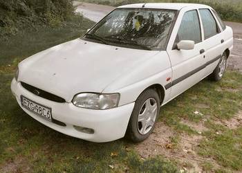 Tanio Ford Escort