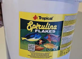 Pokarm dla ryb akwariowych
