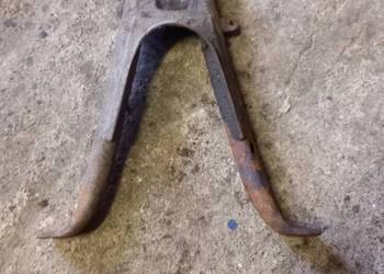 Stopka komar sztywniak