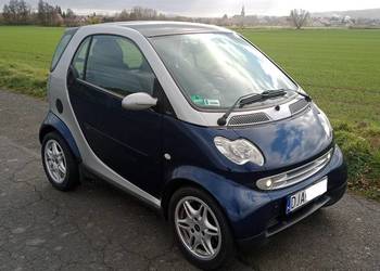 Polecam fajnego Smarta