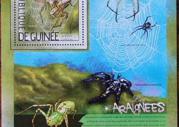 Gwinea blok pająki