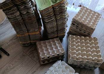 wytłaczanki na jajka pojemniki w ilości 161  sztuk