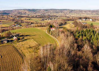 Działka leśna 30,25 ar Tuchów
