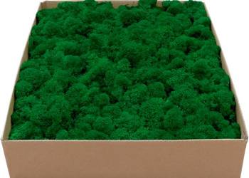 Mech Chrobotek PREMIUM Forest Green Karton 1kg