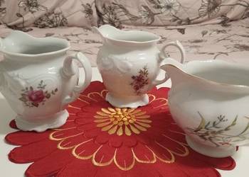 Mlecznik porcelanowy