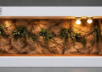 Terrarium dla agamy brodatej żółwia greckiego