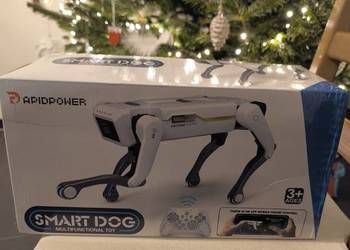 Inteligentny robot pies