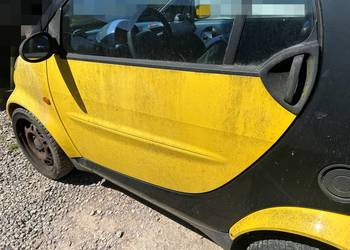 Drzwi prawe lewe Smart ForTwo 450 kolor EB1 EA4