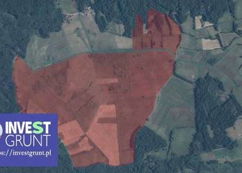 [522,70 ha] przetarg na dzierżawę gruntów rolnych