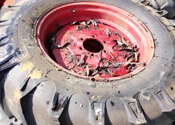 Koło Opona 16.9-30 prawie nowa felga Claas Mercator Koło Opona 16.9-30 prawie nowa felga Claas Mercator