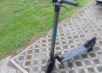 Hulajnoga elektryczna Frugal Storm