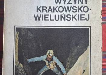 Jaskinie Wyżyny Krakowsko- Wieluńskiej-M. Szelerewicz, A. Górny.