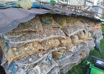 Zrębki z rębaka walcowego gruba do palenia, na podpałkę