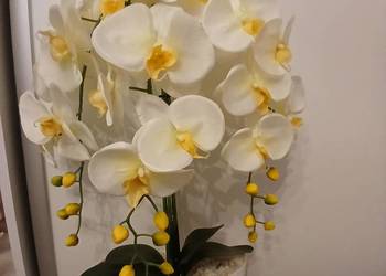 Mix sztucznych storczyków.