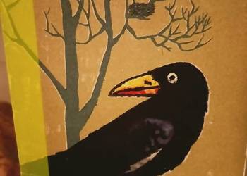 O wronie kruku i ich krewniakach Sokołowski książki Praga