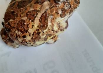 Zaba rogata