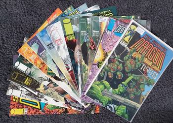 The Savage Dragon - zestaw 14 komiksów Image USA