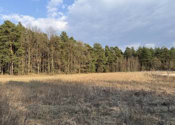 Piękna otoczona lasem działka 22a w Siodle