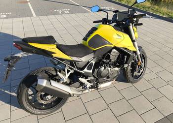 Honda hornet
