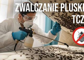 Zwalczanie pluskiew Tczew - Odpluskwianie, Dezynsekcja