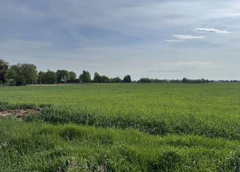 Działki budowlane Daleszyn
