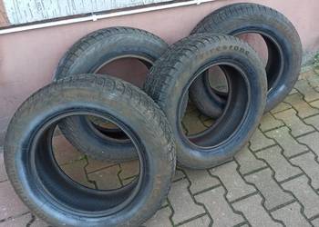 Opony zimowe Firestone Winterhawk 195/65R15