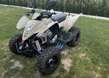 Quad CPI XS 250