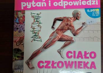 300 pytań i odpowiedzi. Ciało człowieka