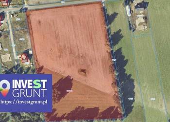 [8,00 ha] przetarg na dzierżawę gruntów rolnych