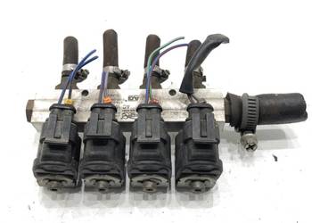 WTRYSKIWACZ LPG 67R-010973 WTRYSK GAZU, GAZOWY