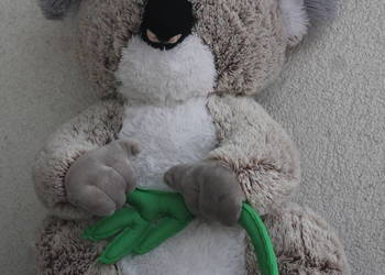 Duża Koala z eukaliptusem Maskotka Pluszak