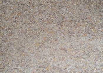 Mieszanka śruta kukurydza z pszenicą