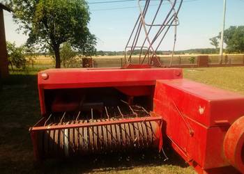 Sprzedam prase kostke do słomy i siana simpa 224